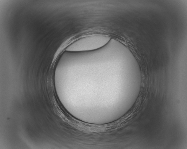 X0000081500004200701121151