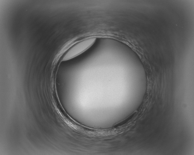 X0000081500005200701121151