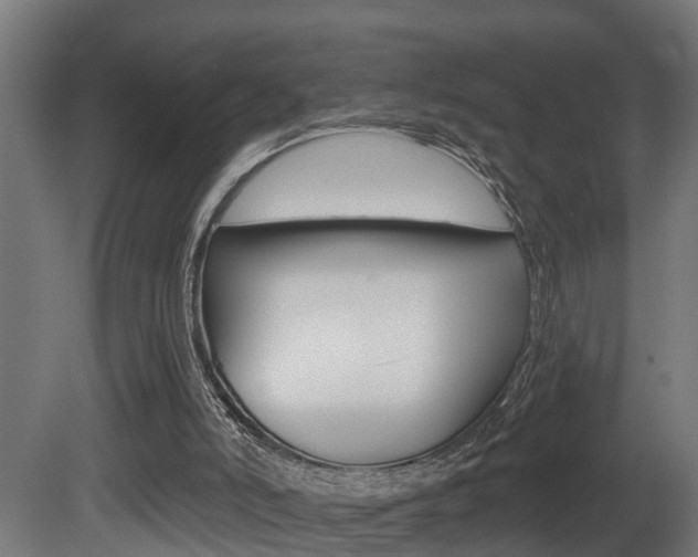 X0000081500006200701121151