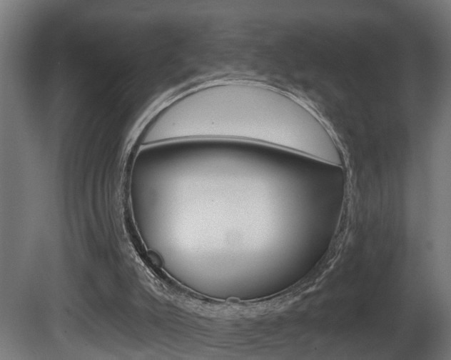 X0000081500007200701121151