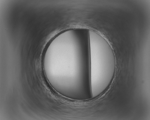 X0000081500008200701121151