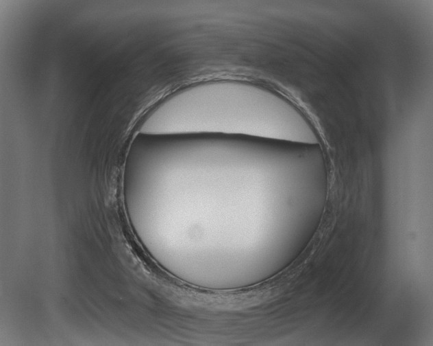 X0000081500010200701121151