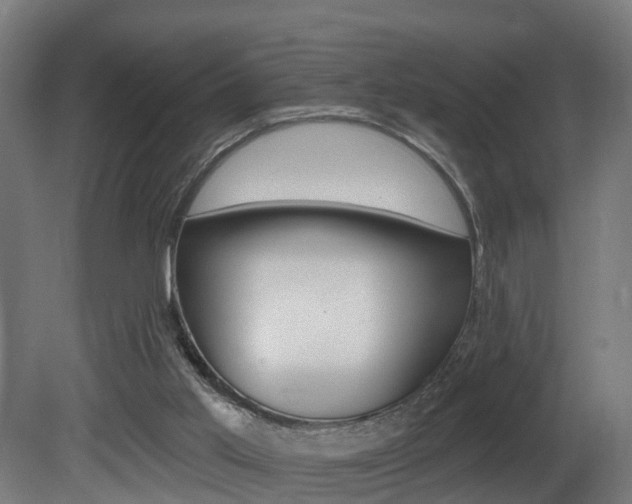 X0000081500013200701121151