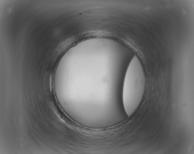 X0000081500014200701121151