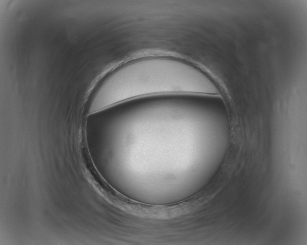 X0000081500015200701121151