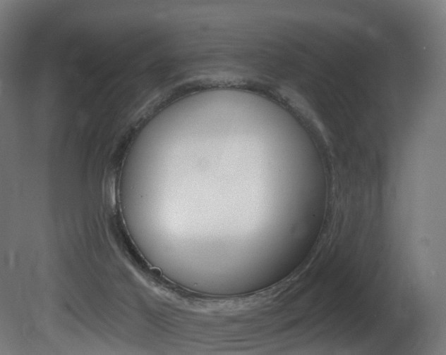 X0000081500021200701121150