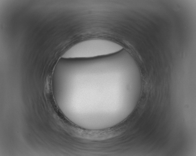 X0000081500026200701121150
