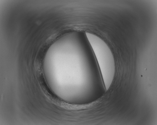 X0000081500031200701121150