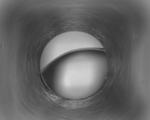 X0000081500033200701121150