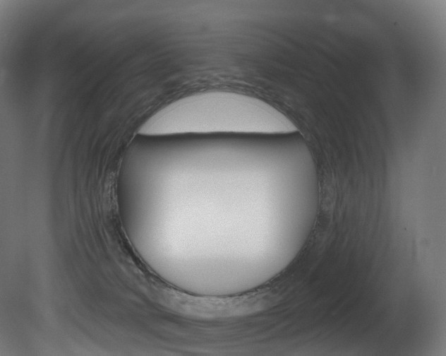 X0000081500034200701121150