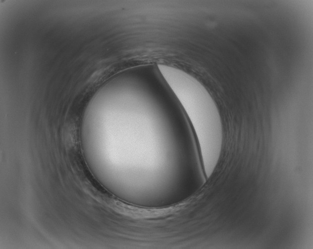 X0000081500035200701121150