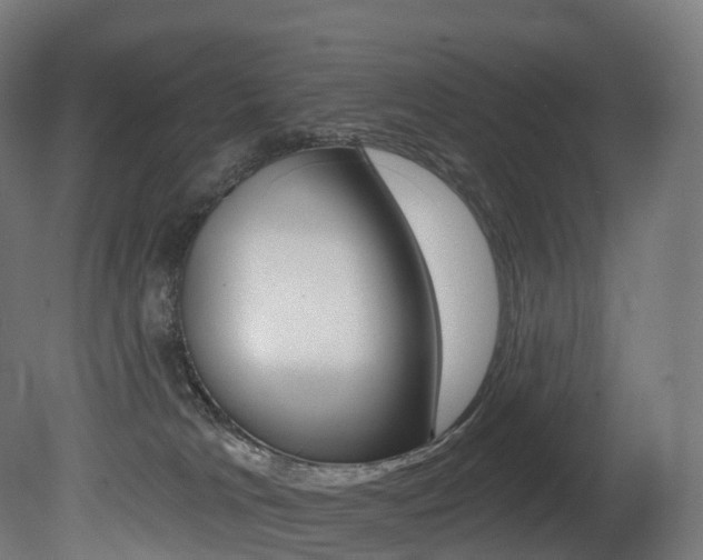 X0000081500037200701121150