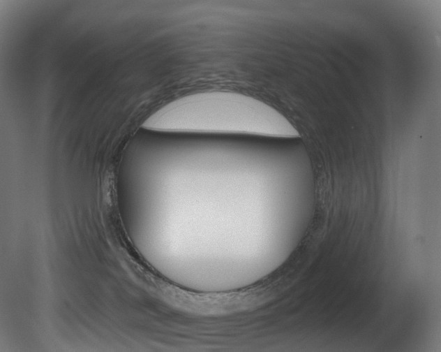X0000081500038200701121150