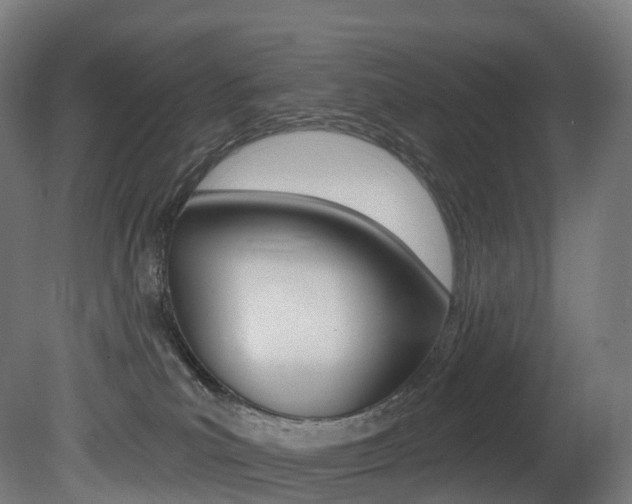 X0000081500039200701121150