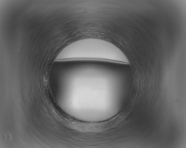 X0000081500040200701121150