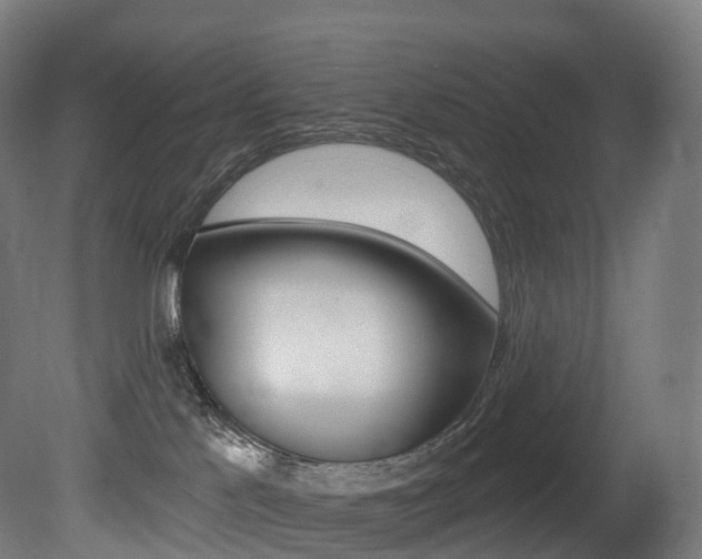 X0000081500041200701121150
