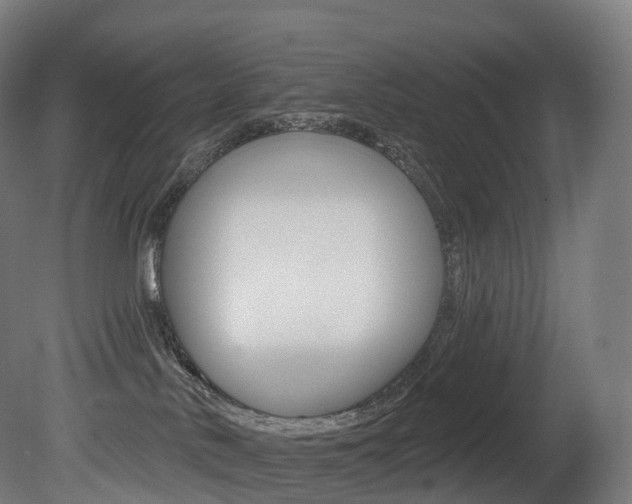 X0000081500042200701121150