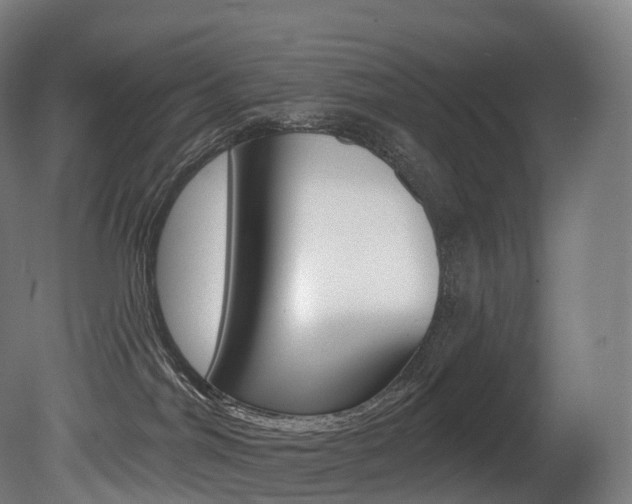 X0000081500044200701121150