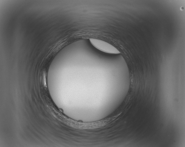 X0000081500046200701121150