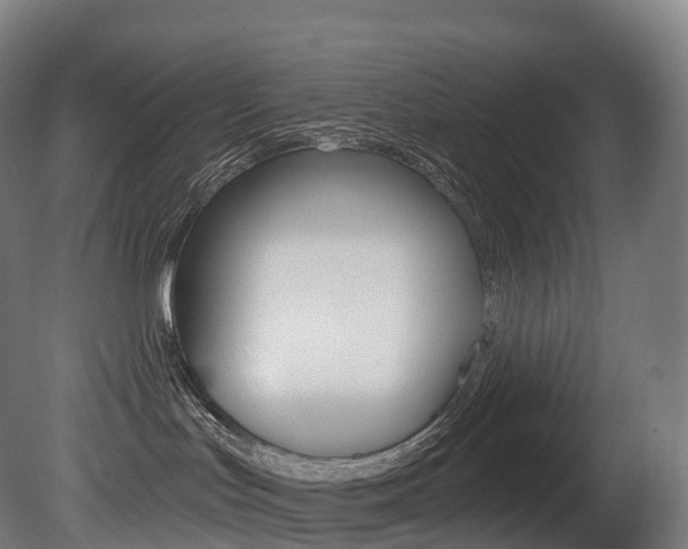 X0000081500047200701121150