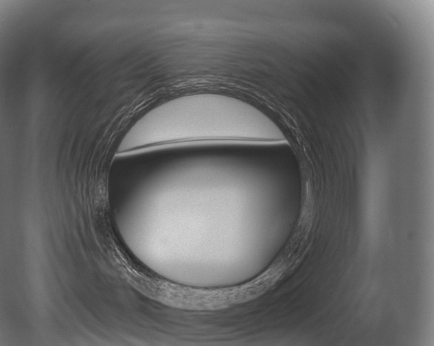 X0000081500048200701121150