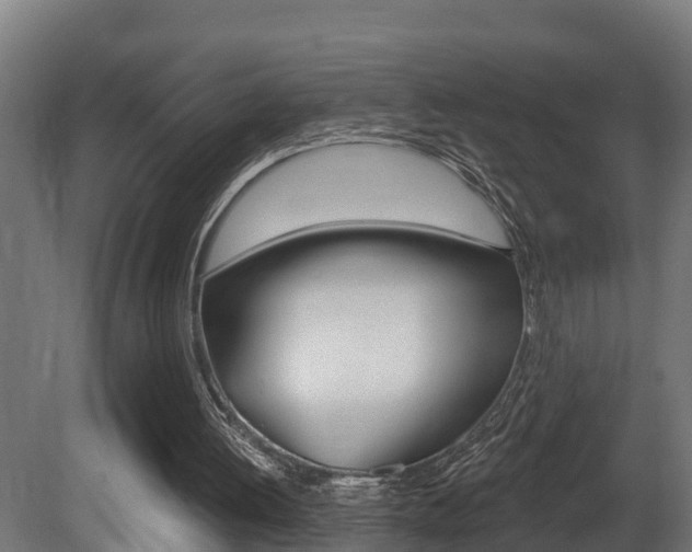 X0000081500052200701121149
