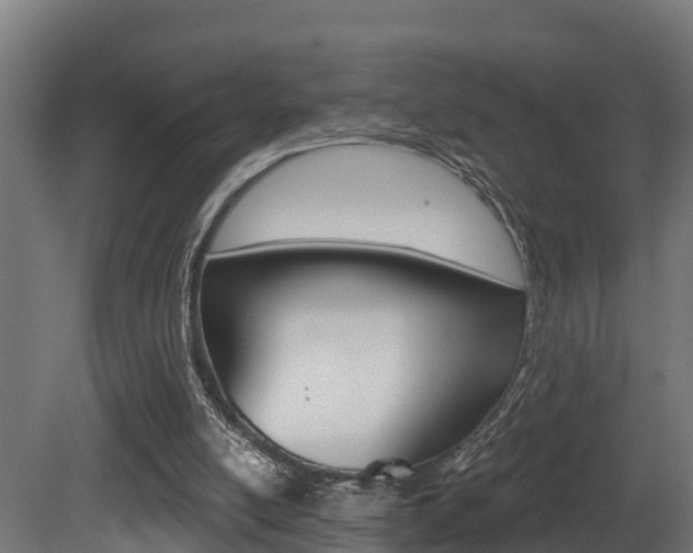 X0000081500054200701121149