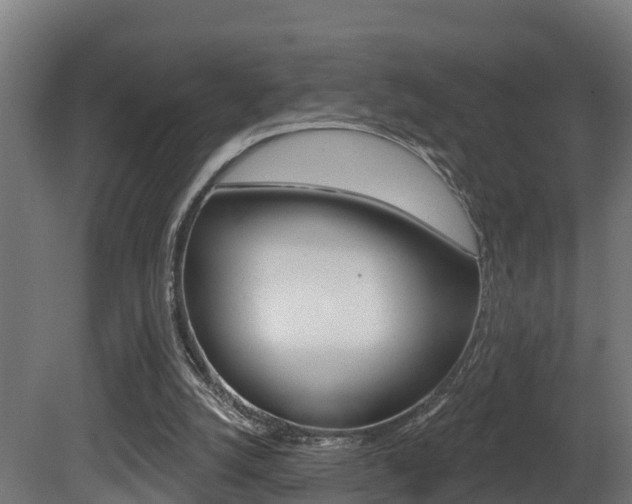 X0000081500056200701121149