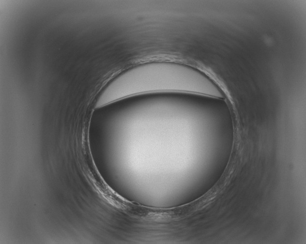 X0000081500057200701121149