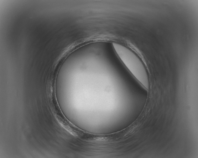 X0000081500059200701121149