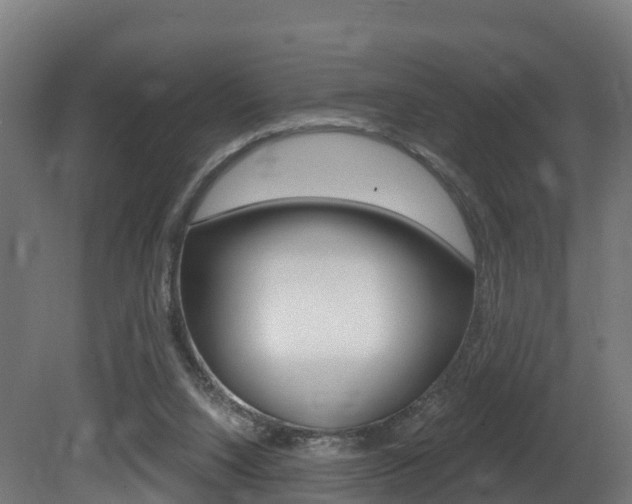 X0000081500064200701121149
