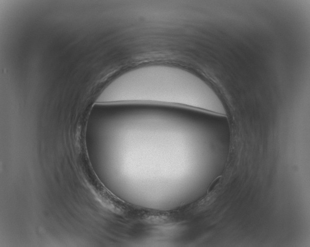 X0000081500066200701121149