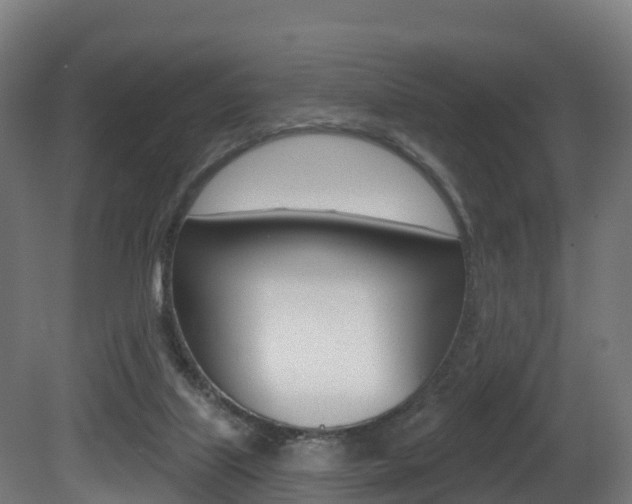 X0000081500067200701121149