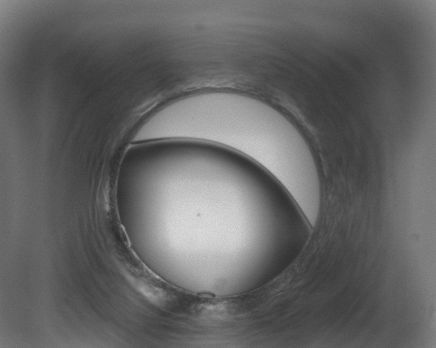 X0000081500068200701121149