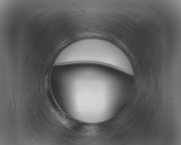 X0000081500071200701121150