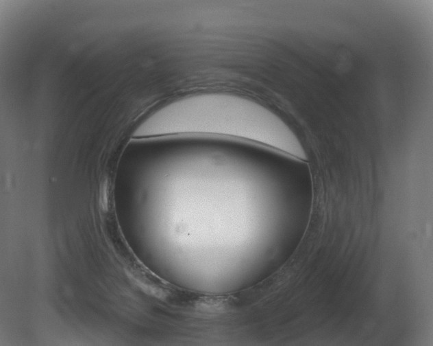X0000081500076200701121150