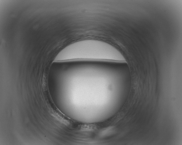 X0000081500077200701121150