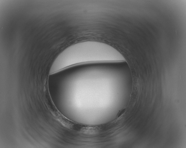 X0000081500082200701121150