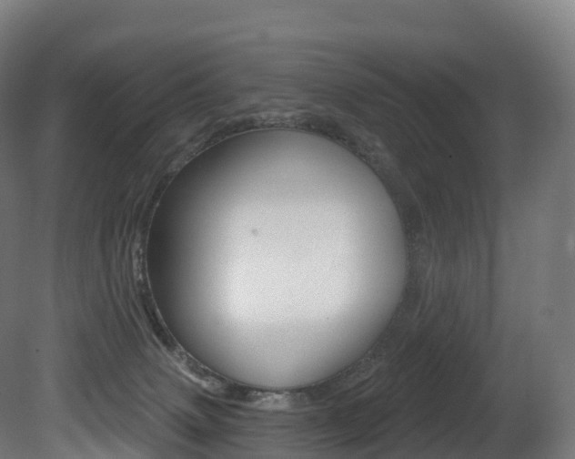 X0000081500083200701121150