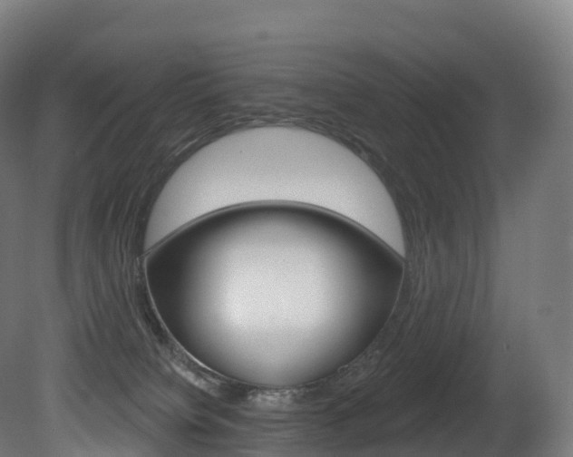 X0000081500084200701121150