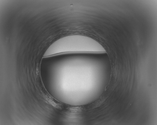 X0000081500085200701121150