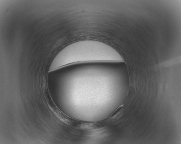 X0000081500086200701121150