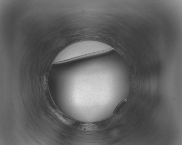 X0000081500087200701121150