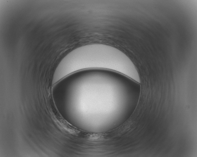 X0000081500088200701121150