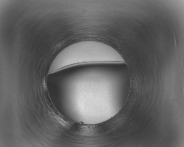 X0000081500089200701121150