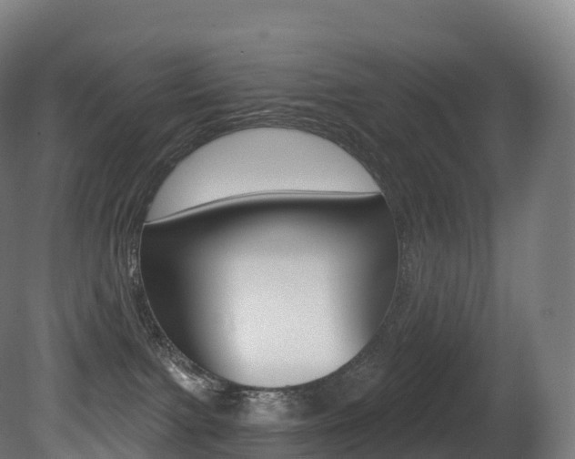 X0000081500091200701121150