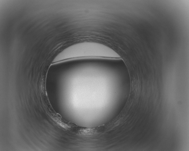 X0000081500092200701121150