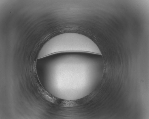 X0000081500093200701121150