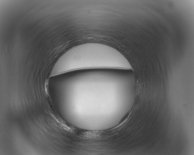 X0000081500094200701121150