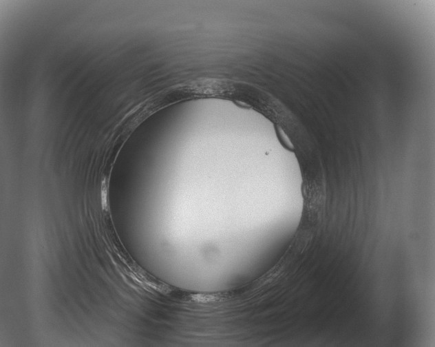 X0000081500095200701121150